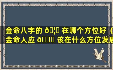 金命八字的 🦉 在哪个方位好（金命人应 🐒 该在什么方位发展有利）